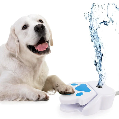 Outdoor Water Dispenser Step-On For Dogs