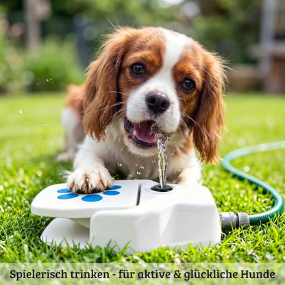 Outdoor Water Dispenser Step-On For Dogs