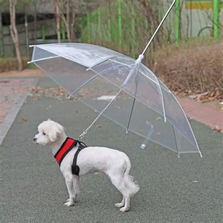 Dog Umbrella