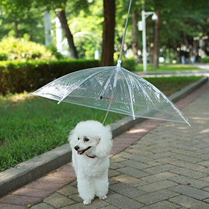 Dog Umbrella