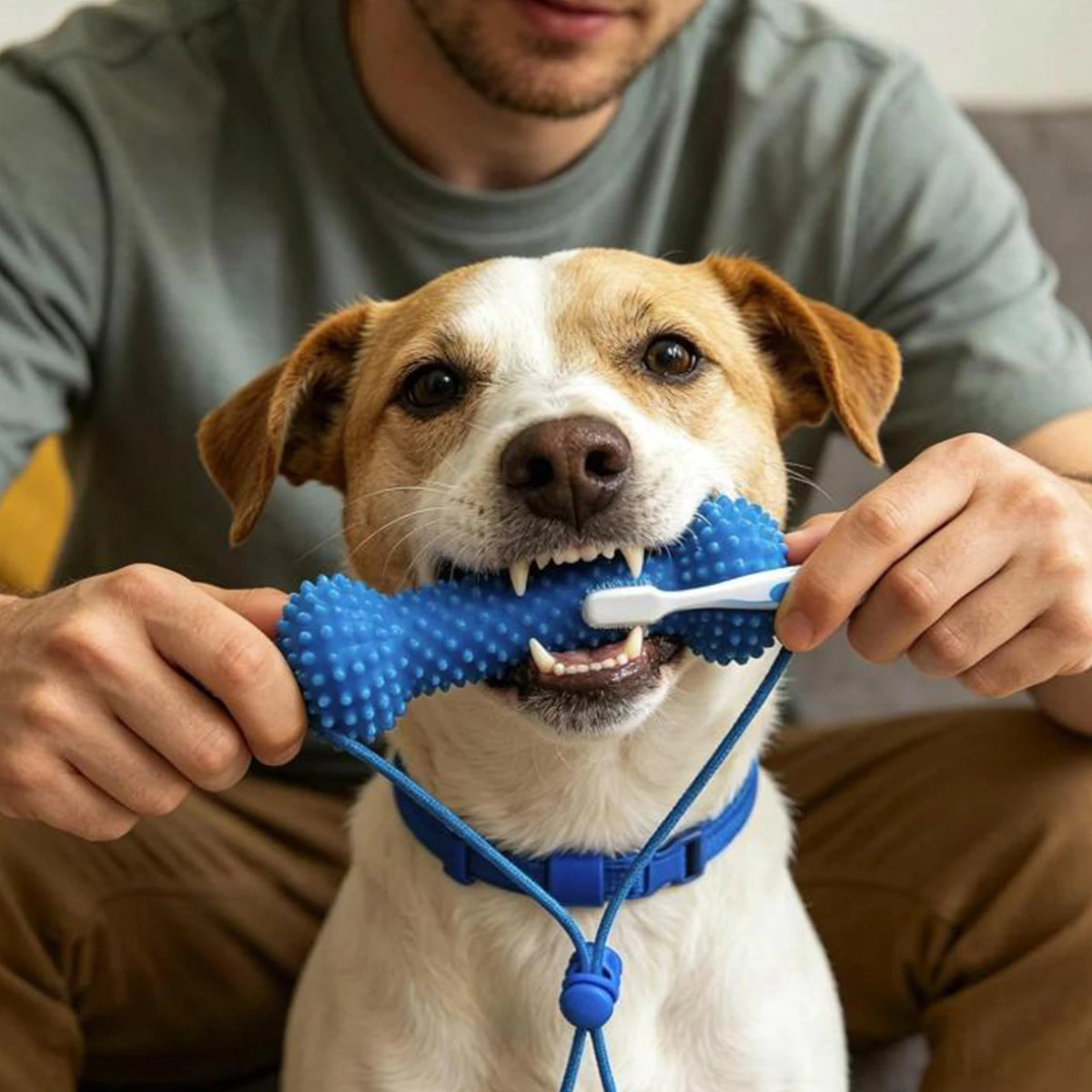 Pet Mouth Opener